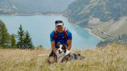 Vacances à la montagne avec son chien : guide complet pour l'été