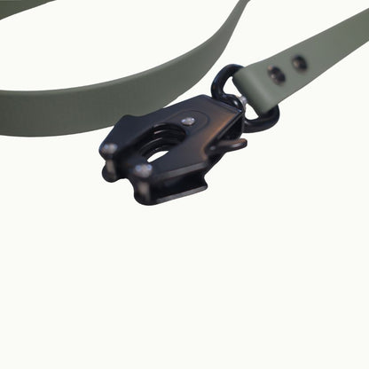Pack Essentiel – Collier & Laisse en Biothane®