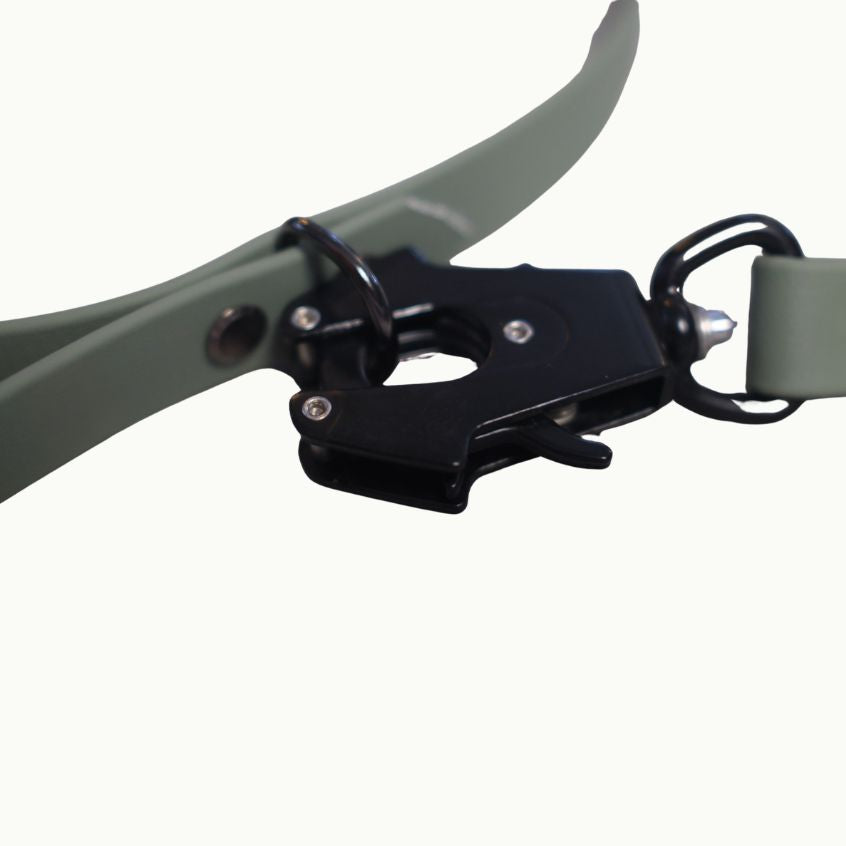 Pack Essentiel – Collier & Laisse en Biothane®