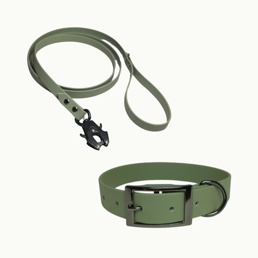 Pack Essentiel – Collier & Laisse en Biothane®